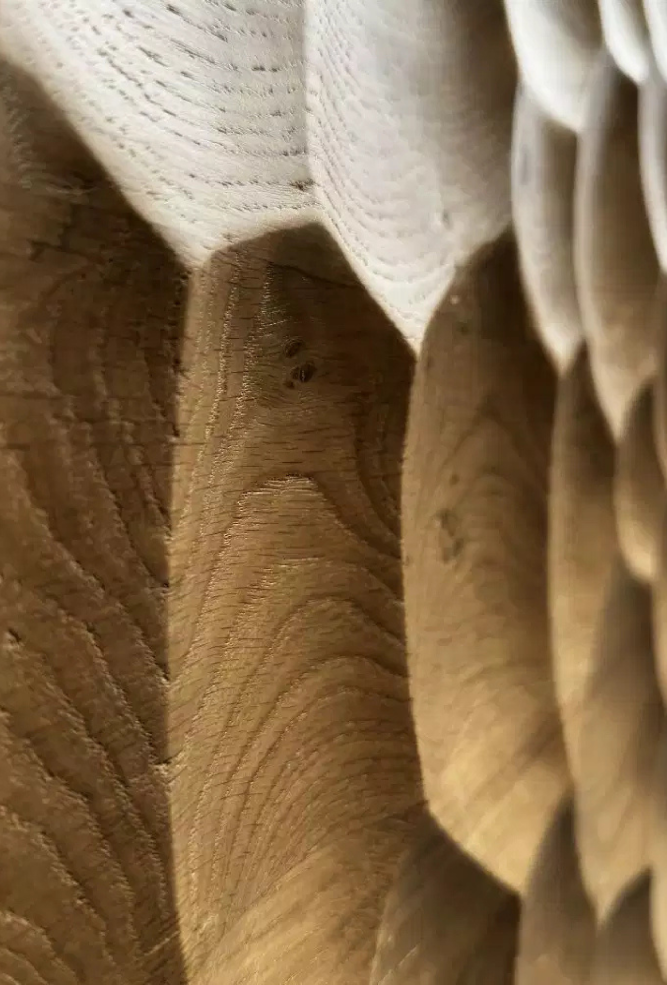 Design sans titre (13)